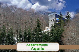 Affitti Monte Livata Villaggio dei Miceti - Appartamento aquila