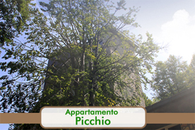 Affitti Monte Livata Villaggio dei Miceti - Appartamento picchio
