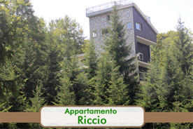 Affitti Monte Livata Villaggio dei Miceti - Appartamento riccio