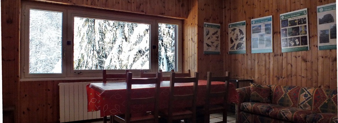 Appartamento Cinciallegra, ambiente 4